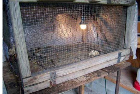 Pvc Coated Chicken Wire Mesh